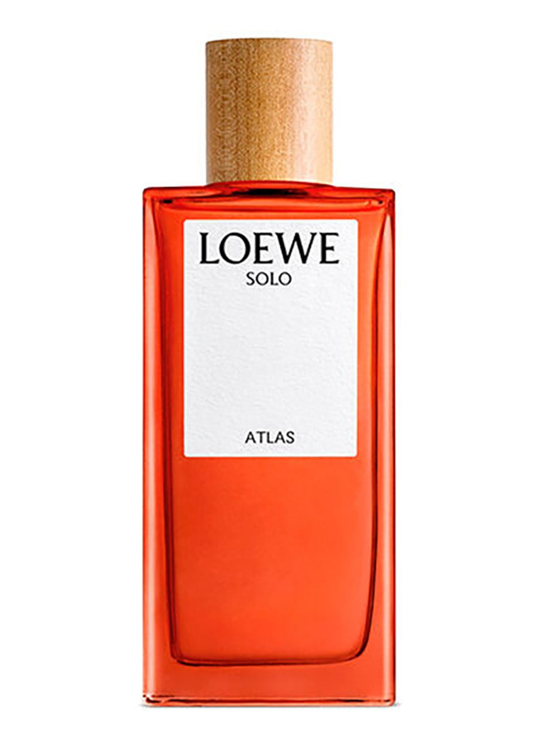 LOEWE - SOLO Atlas